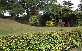 Cielo de Piedra. Cabañas y Petit Hotel
